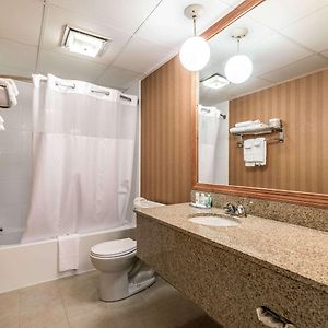 King Suite Non Smoking or Pet Friendly
