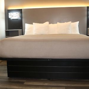 1 King Bed Non Smoking